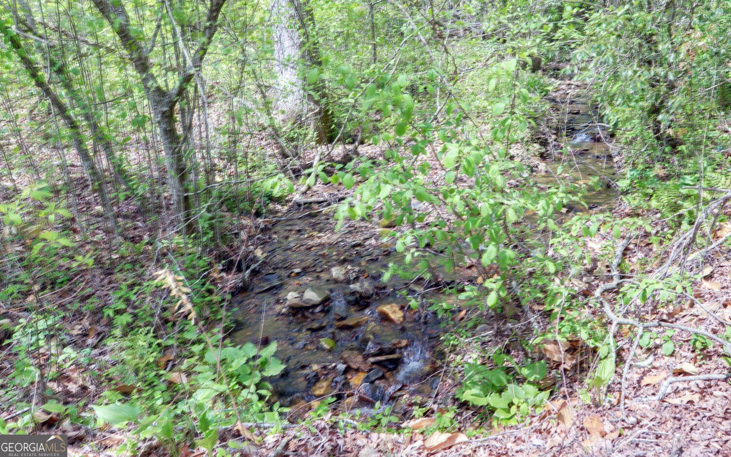 761 Clayton Gooch Road Dahlonega - Photo 29