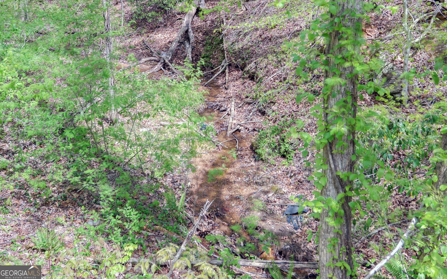 761 Clayton Gooch Road Dahlonega - Photo 30