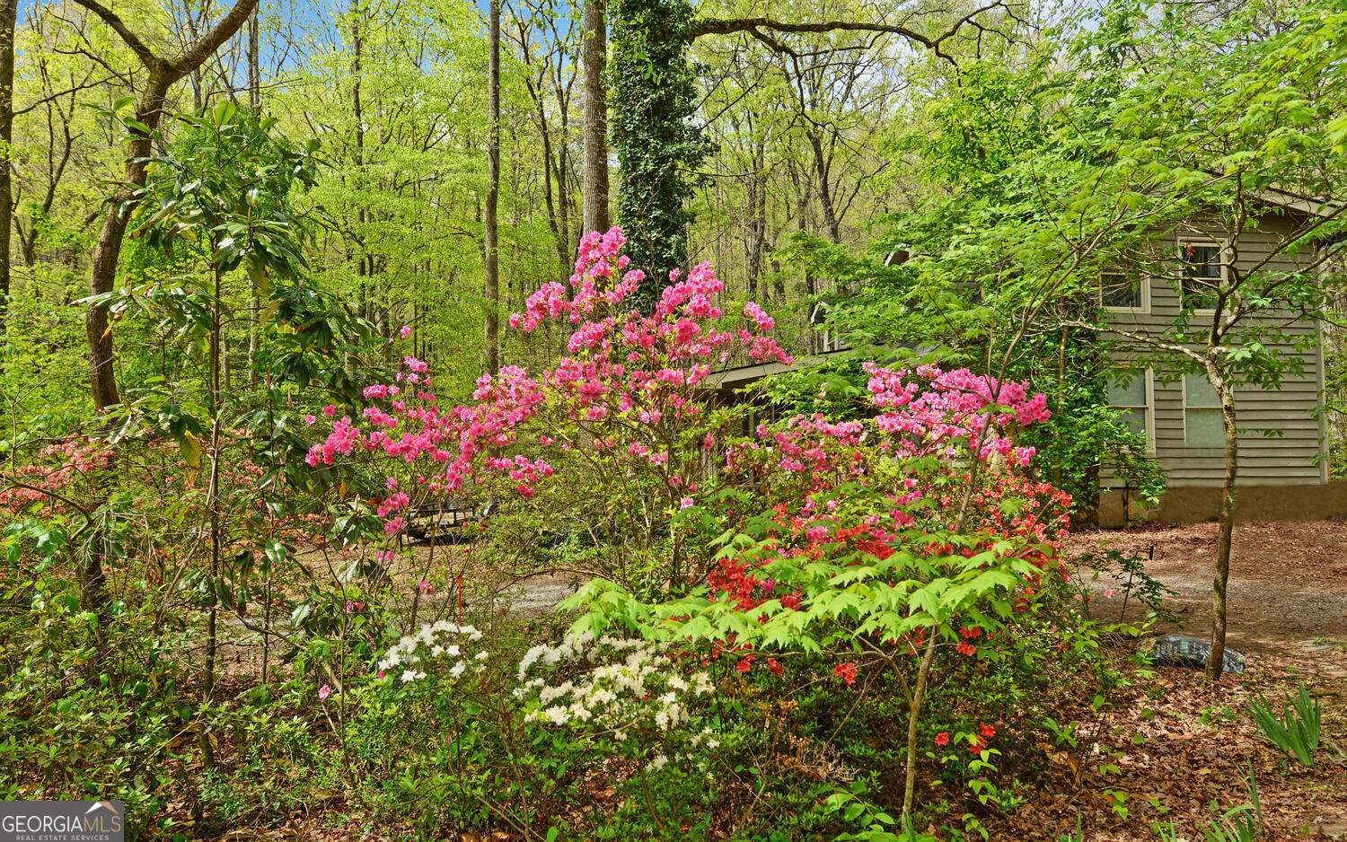 761 Clayton Gooch Road Dahlonega - Photo 33