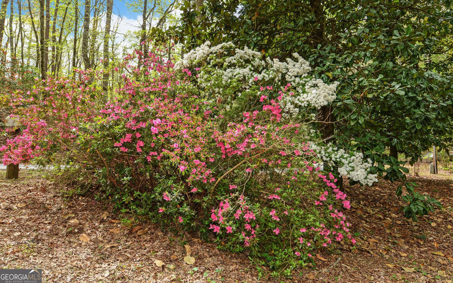 761 Clayton Gooch Road Dahlonega - Photo 34