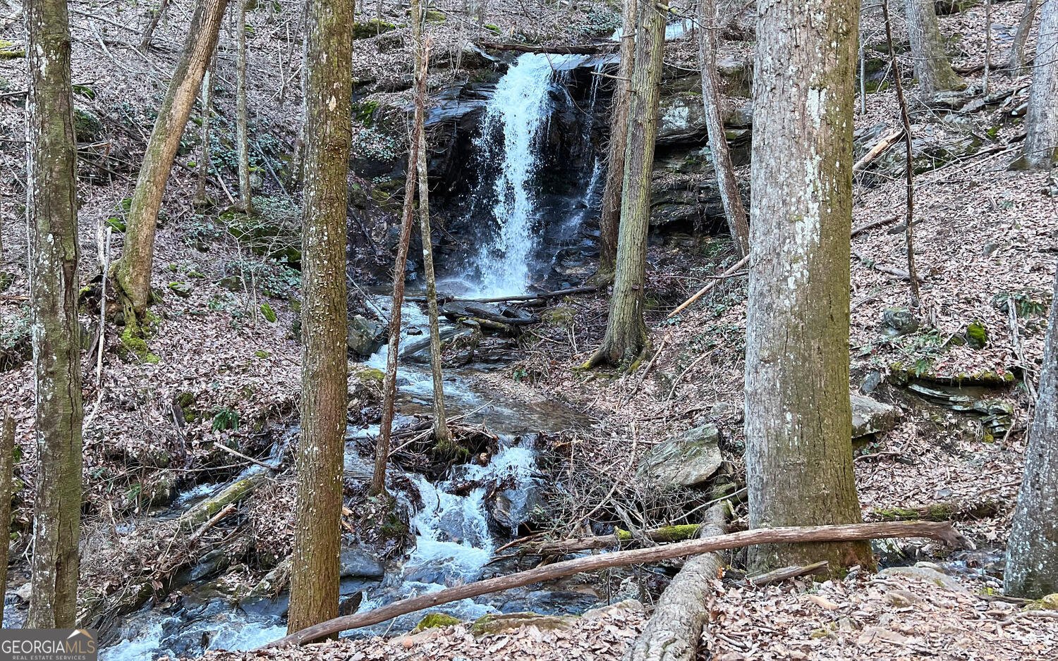 761 Clayton Gooch Road Dahlonega - Photo 35