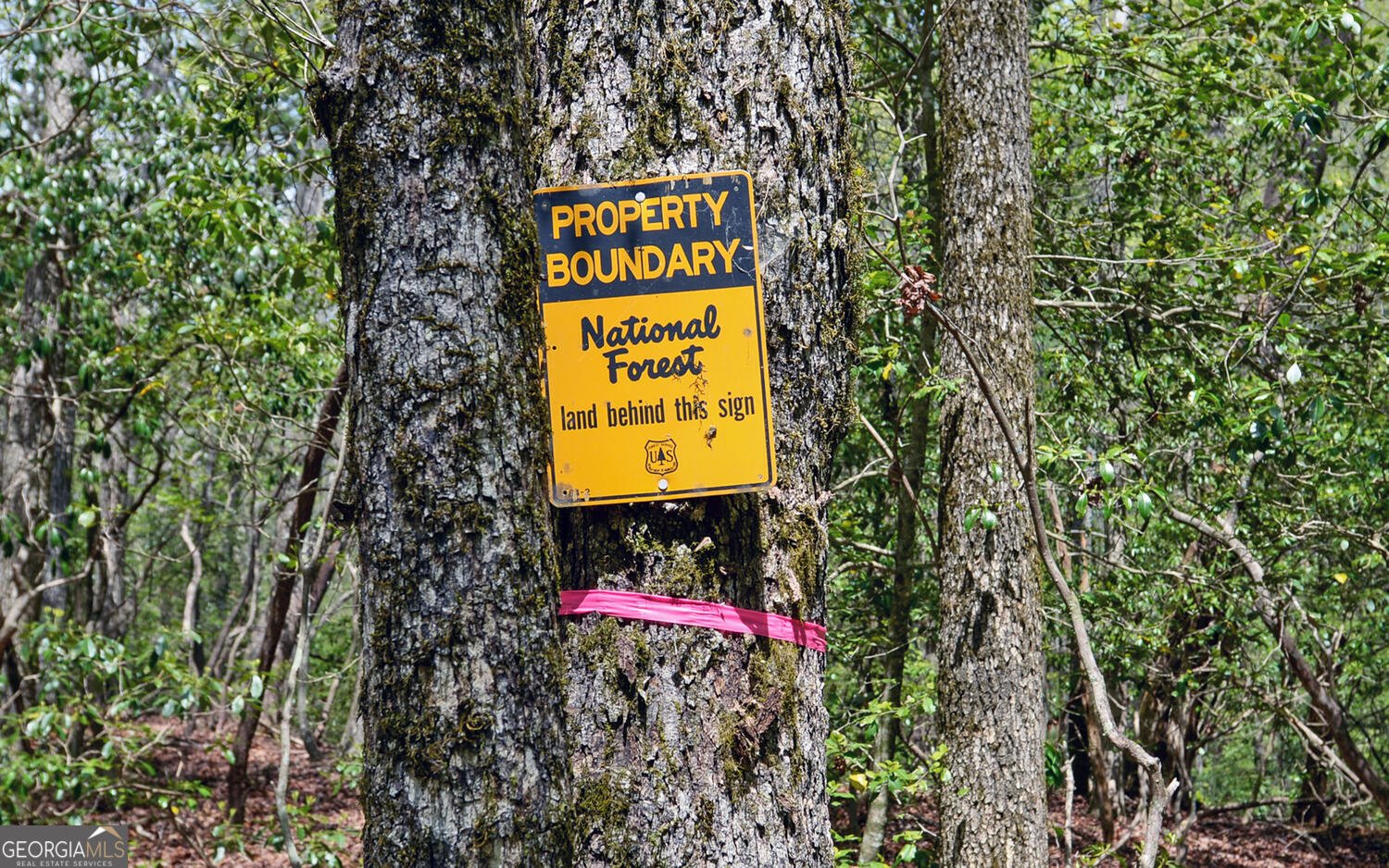 761 Clayton Gooch Road Dahlonega - Photo 36