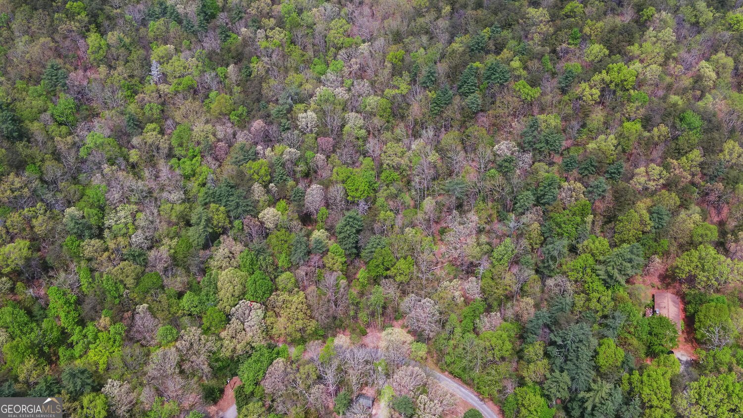 761 Clayton Gooch Road Dahlonega - Photo 37