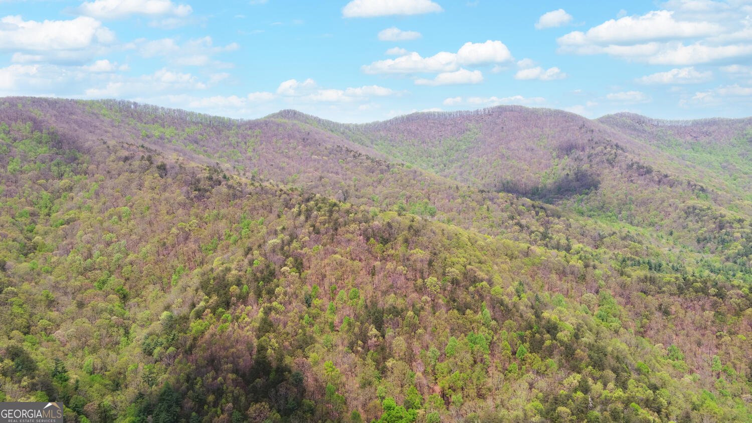 761 Clayton Gooch Road Dahlonega - Photo 38