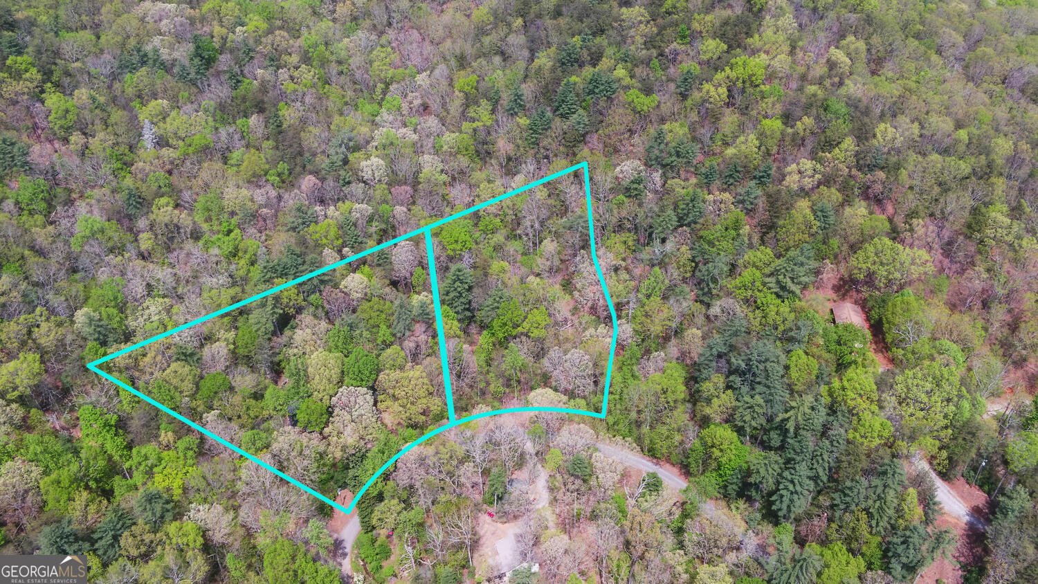 761 Clayton Gooch Road Dahlonega - Photo 39