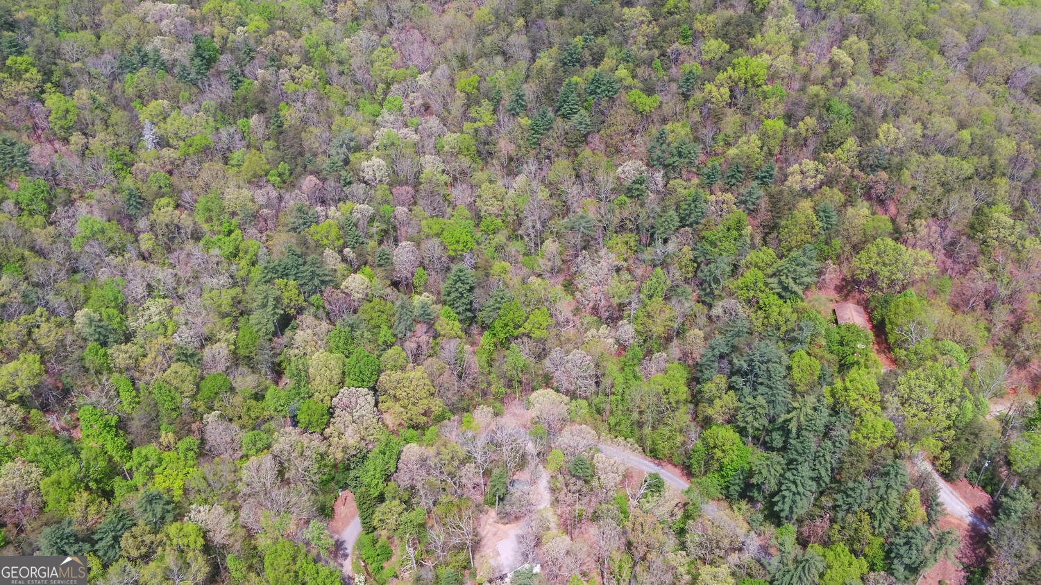 761 Clayton Gooch Road Dahlonega - Photo 40