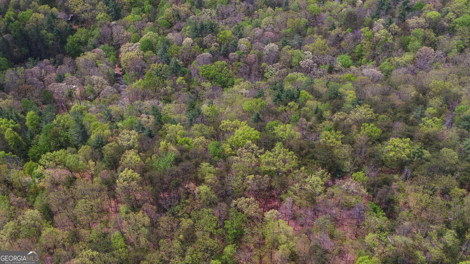 761 Clayton Gooch Road Dahlonega - Photo 41