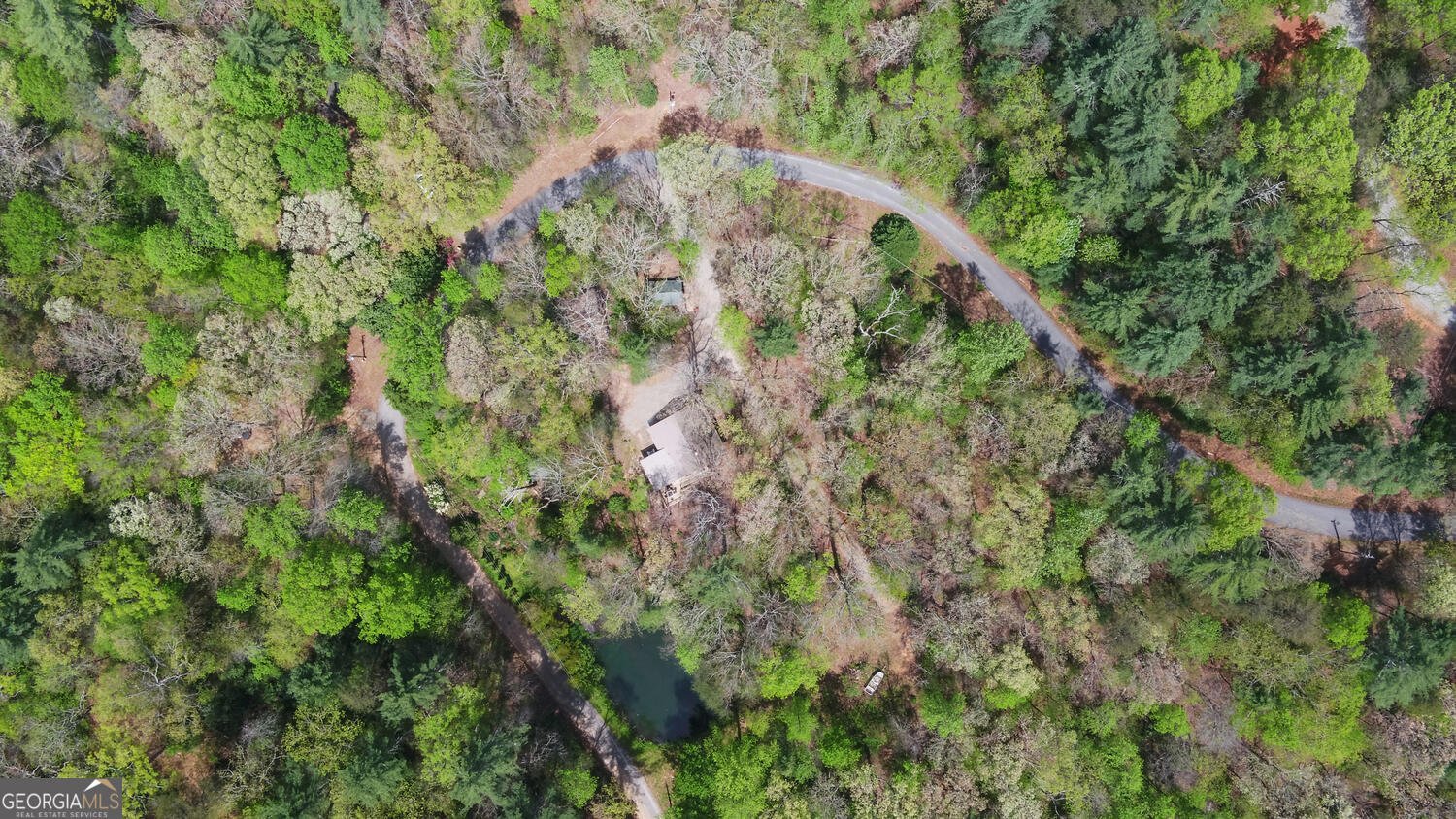 761 Clayton Gooch Road Dahlonega - Photo 42