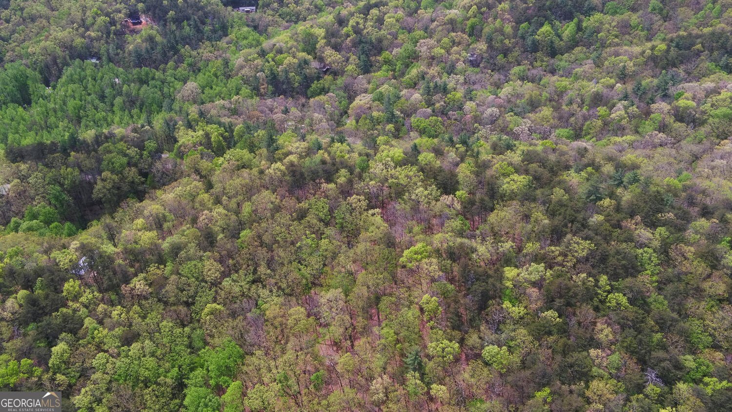 761 Clayton Gooch Road Dahlonega - Photo 43