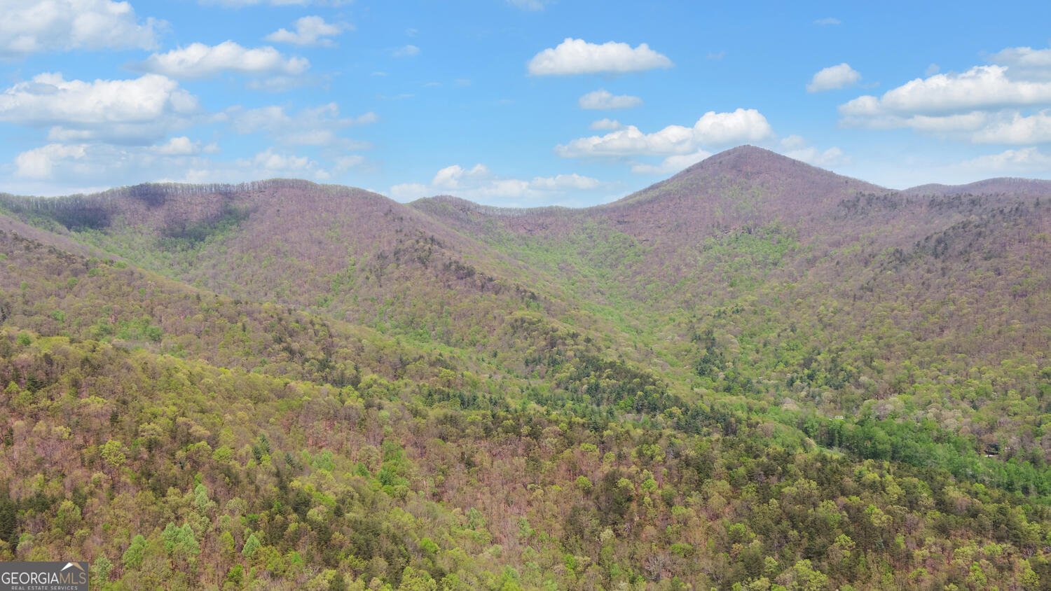 761 Clayton Gooch Road Dahlonega - Photo 46