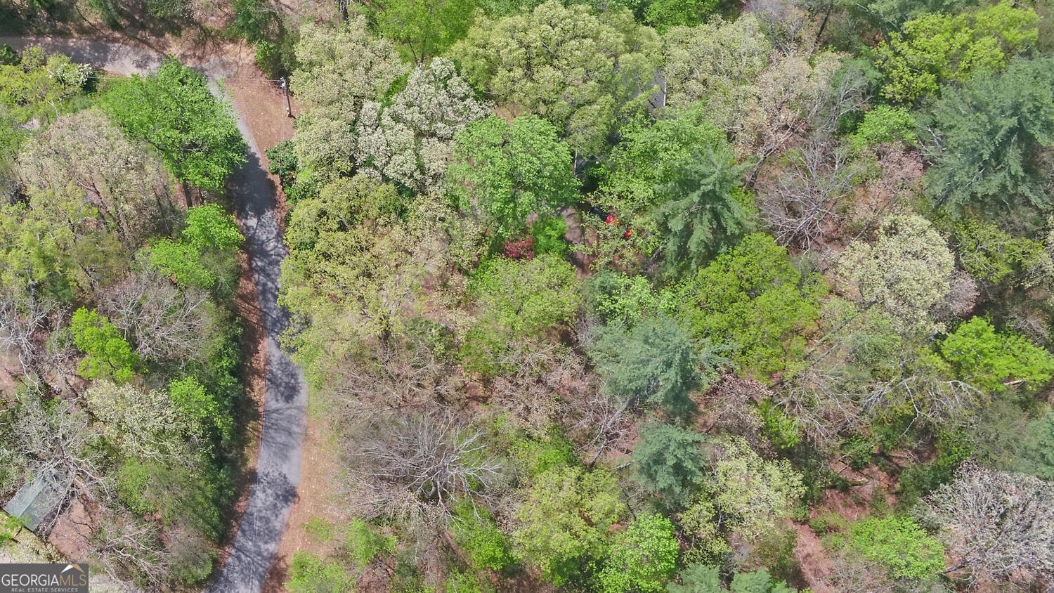 761 Clayton Gooch Road Dahlonega - Photo 47