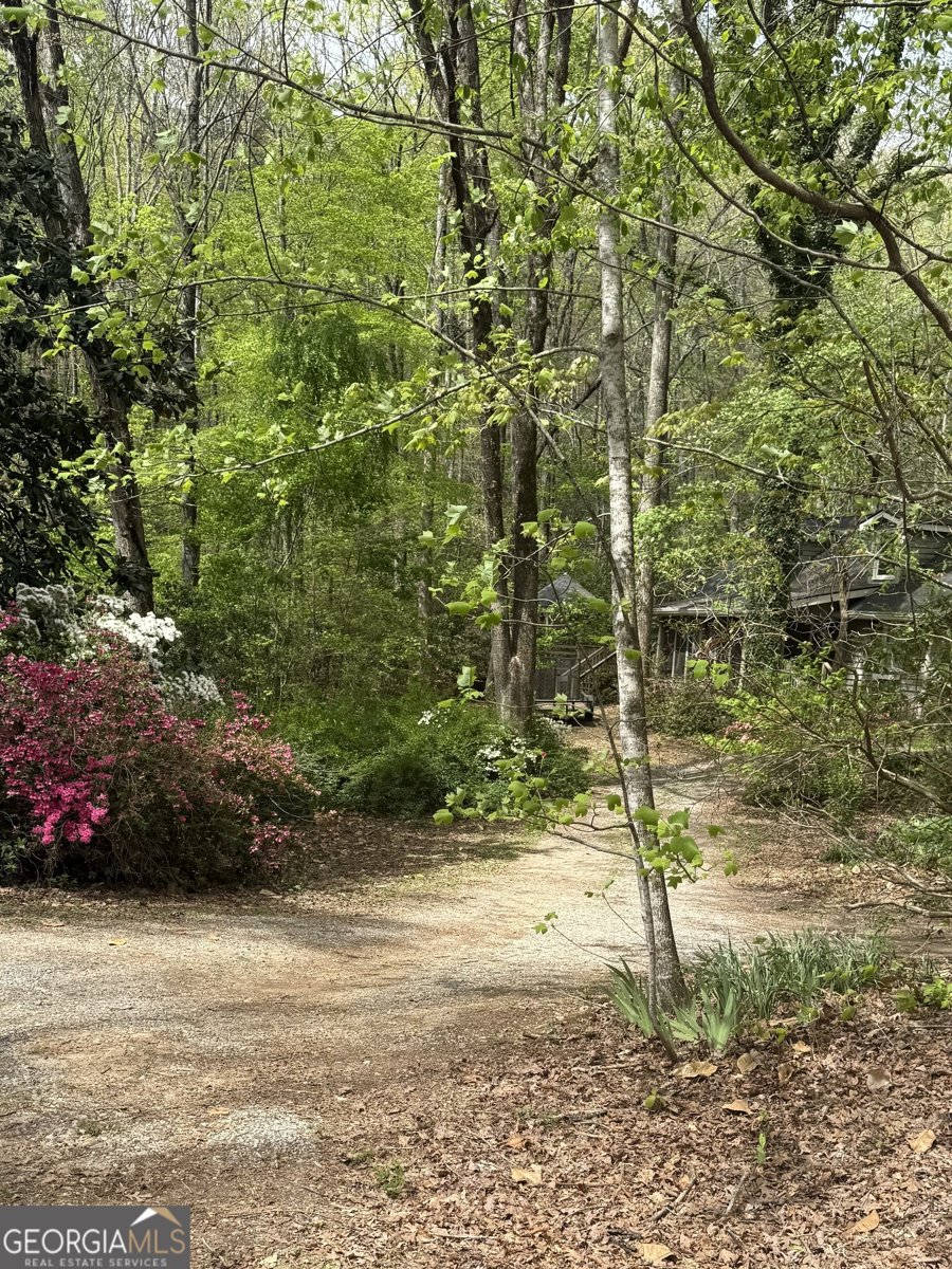 761 Clayton Gooch Road Dahlonega - Photo 48