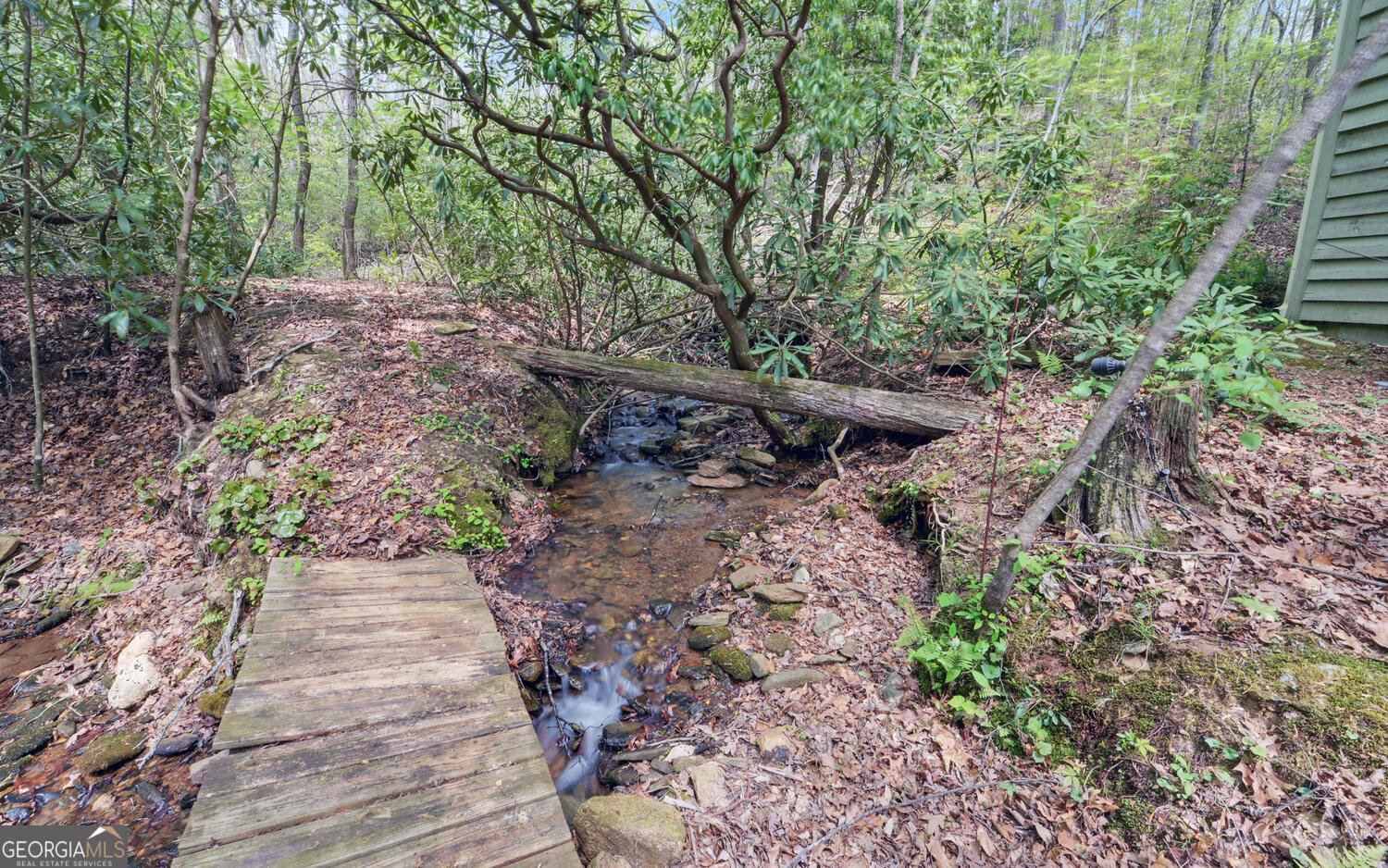 761 Clayton Gooch Road Dahlonega - Photo 6