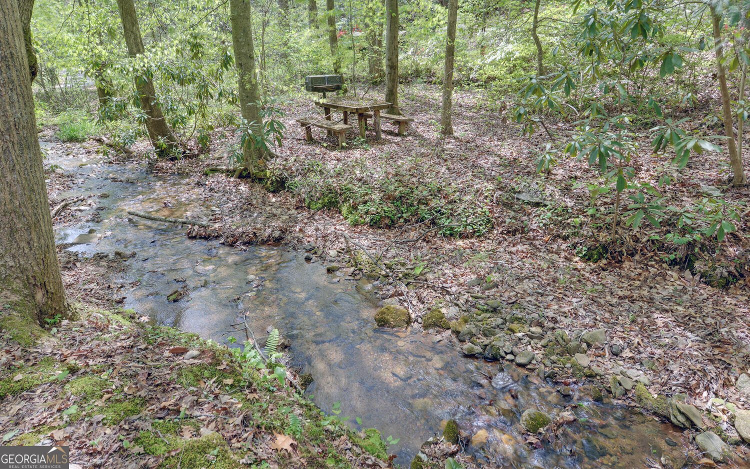 761 Clayton Gooch Road Dahlonega - Photo 8