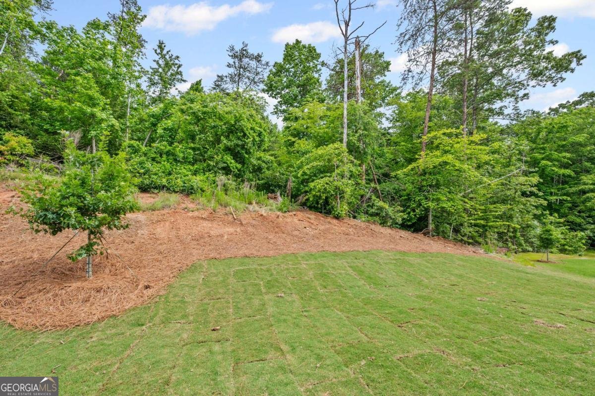 3088 Orwell Drive Gainesville - Photo 25