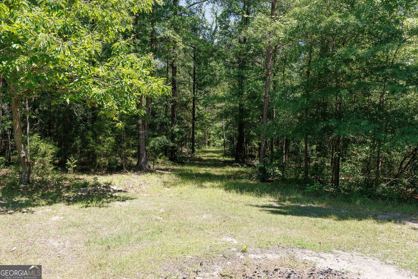 6404 Cartledge Road Box Springs - Photo 43