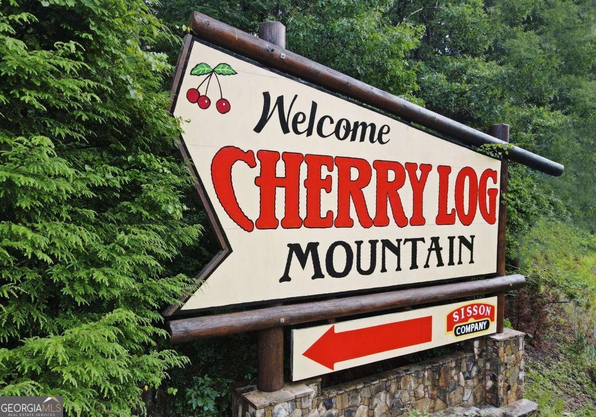 73 Rosiey Lane Blue Ridge - Photo 49