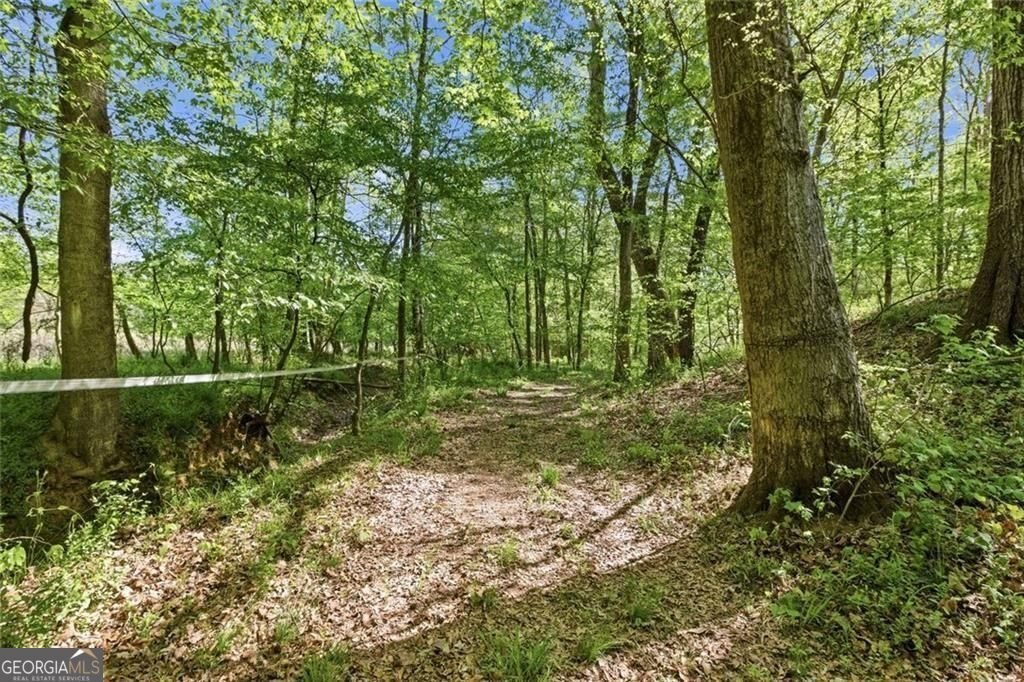 637 Wrights Mill Road Commerce - Photo 52