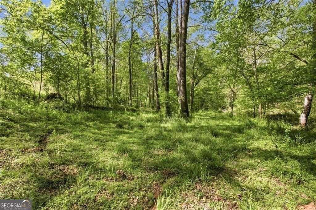 637 Wrights Mill Road Commerce - Photo 53