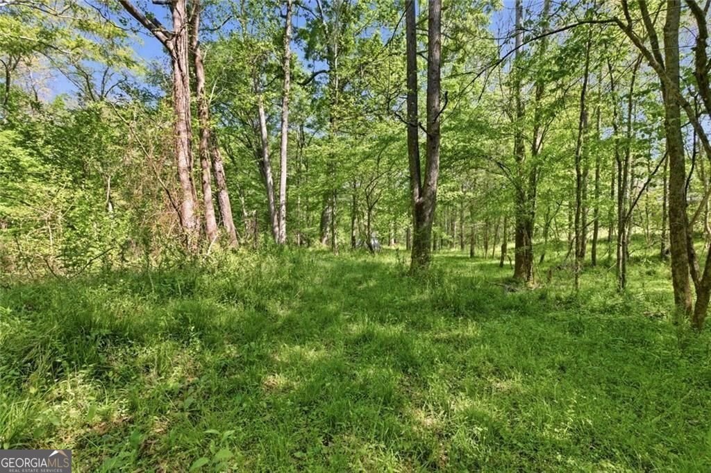 637 Wrights Mill Road Commerce - Photo 56