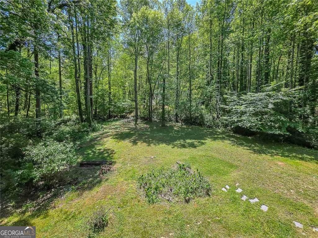 300 Farm Track Roswell - Photo 17