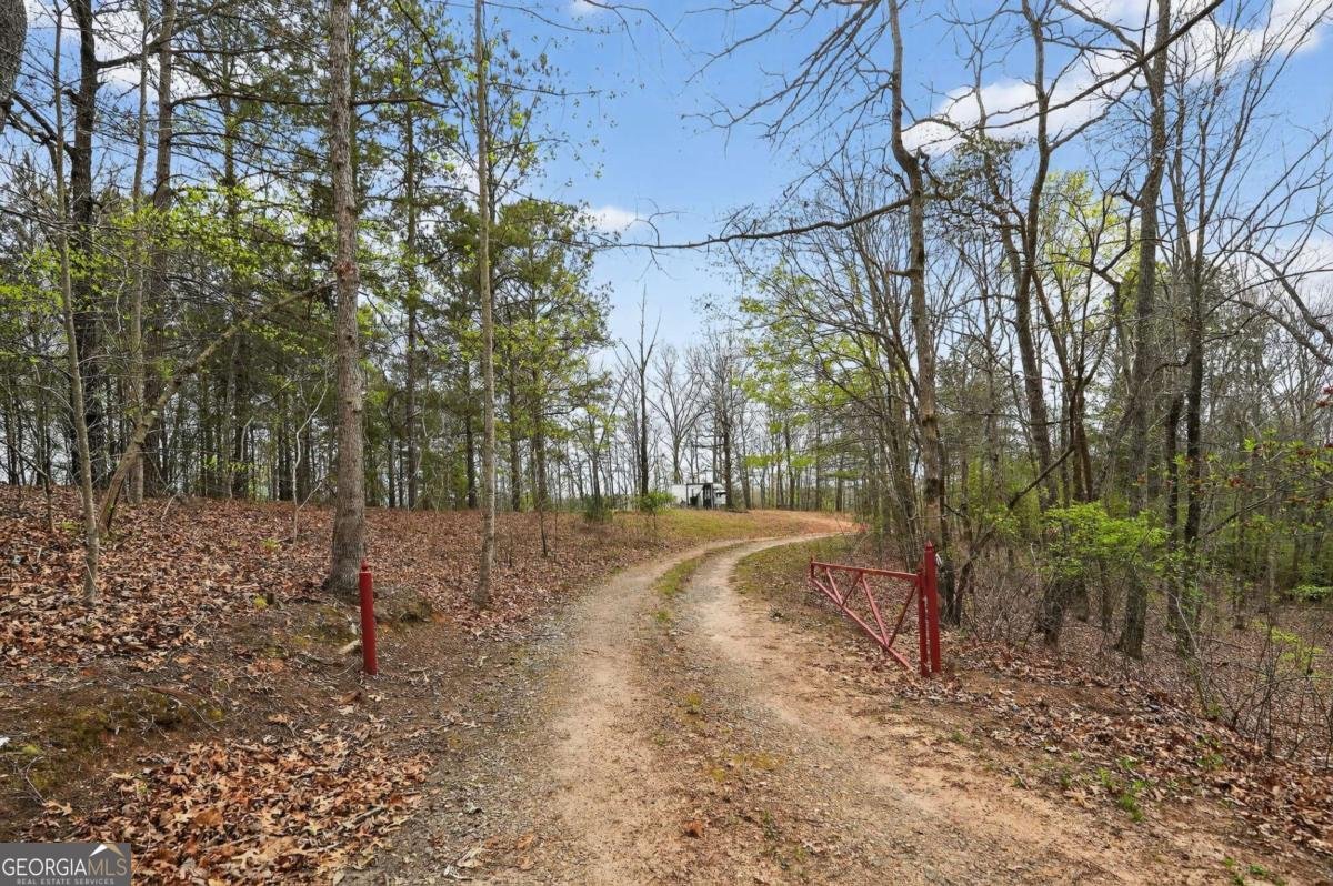 115 RABBIT Run Dawsonville - Photo 43