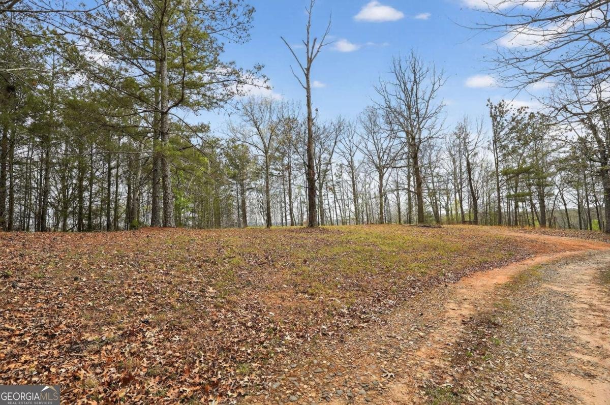 115 RABBIT Run Dawsonville - Photo 44