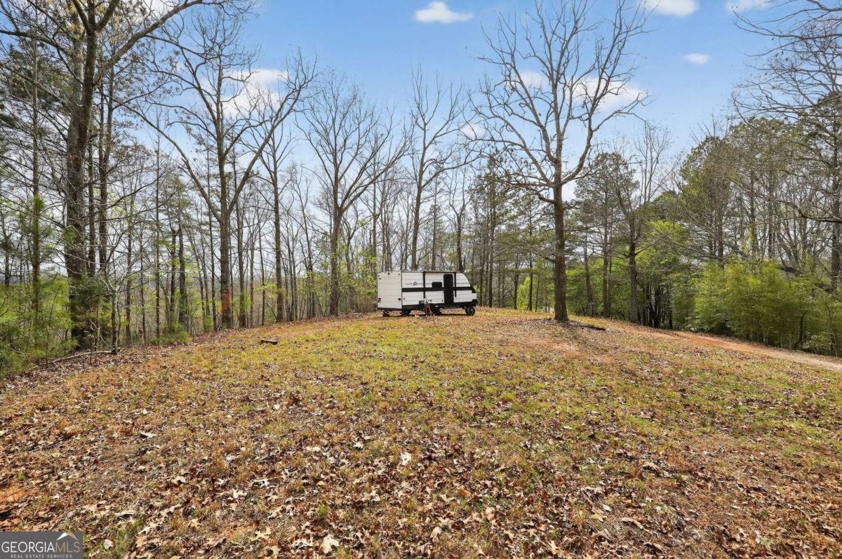 115 RABBIT Run Dawsonville - Photo 45