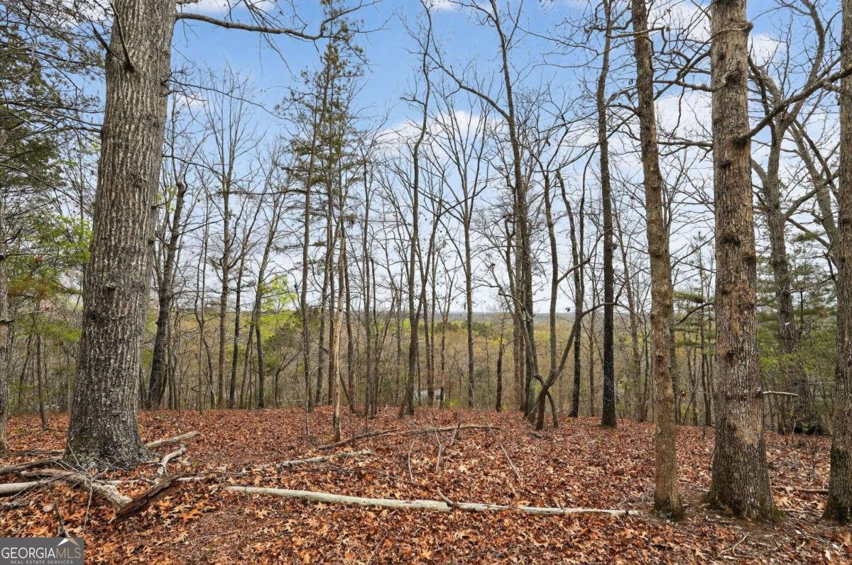 115 RABBIT Run Dawsonville - Photo 46