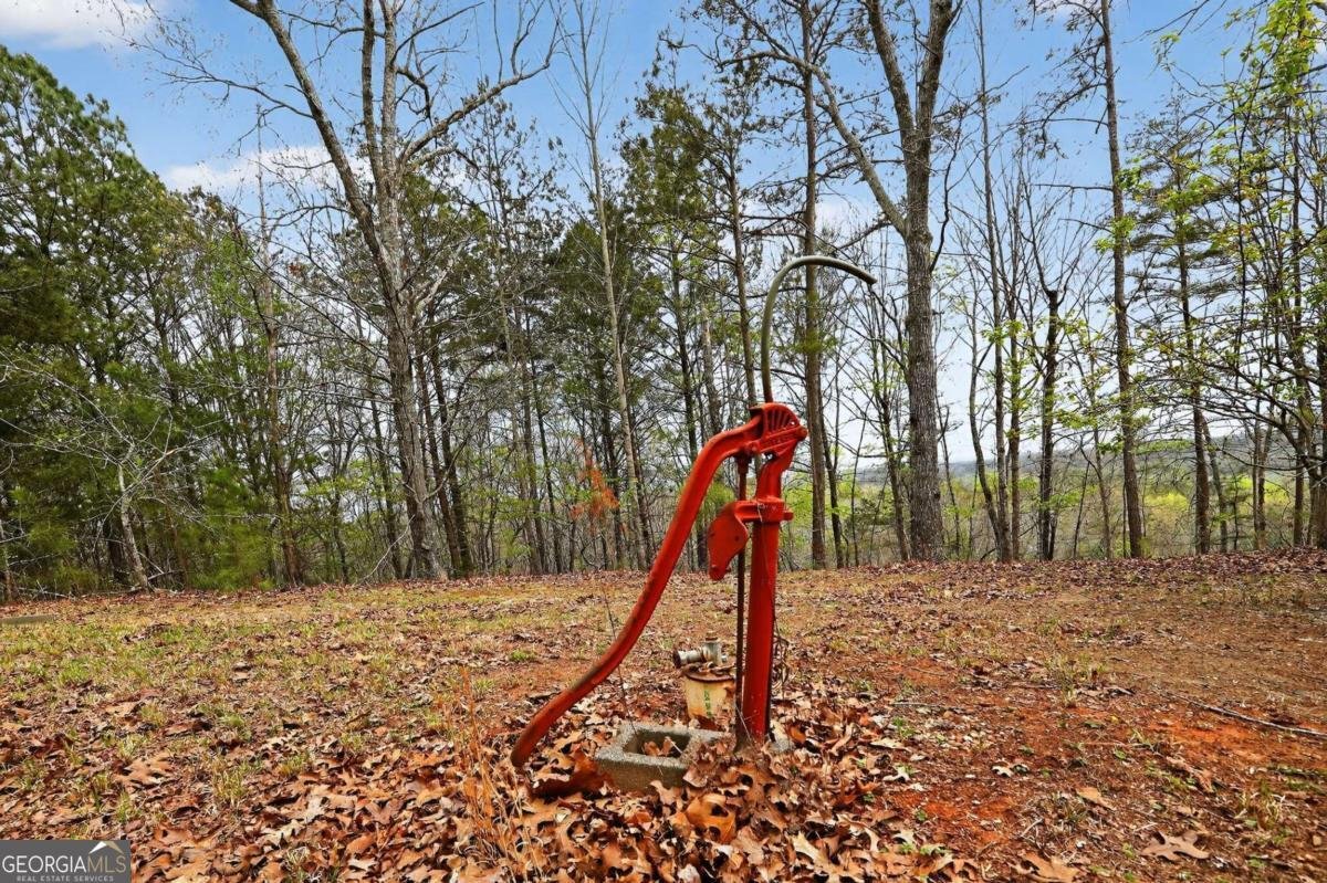 115 RABBIT Run Dawsonville - Photo 47