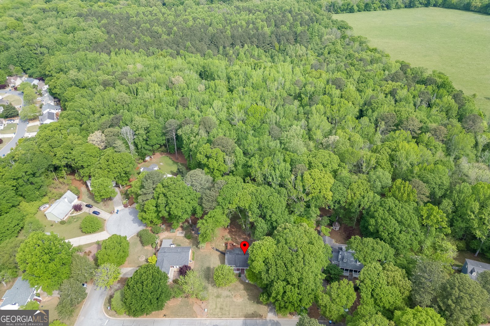 3089 Mill Run Court Duluth - Photo 46