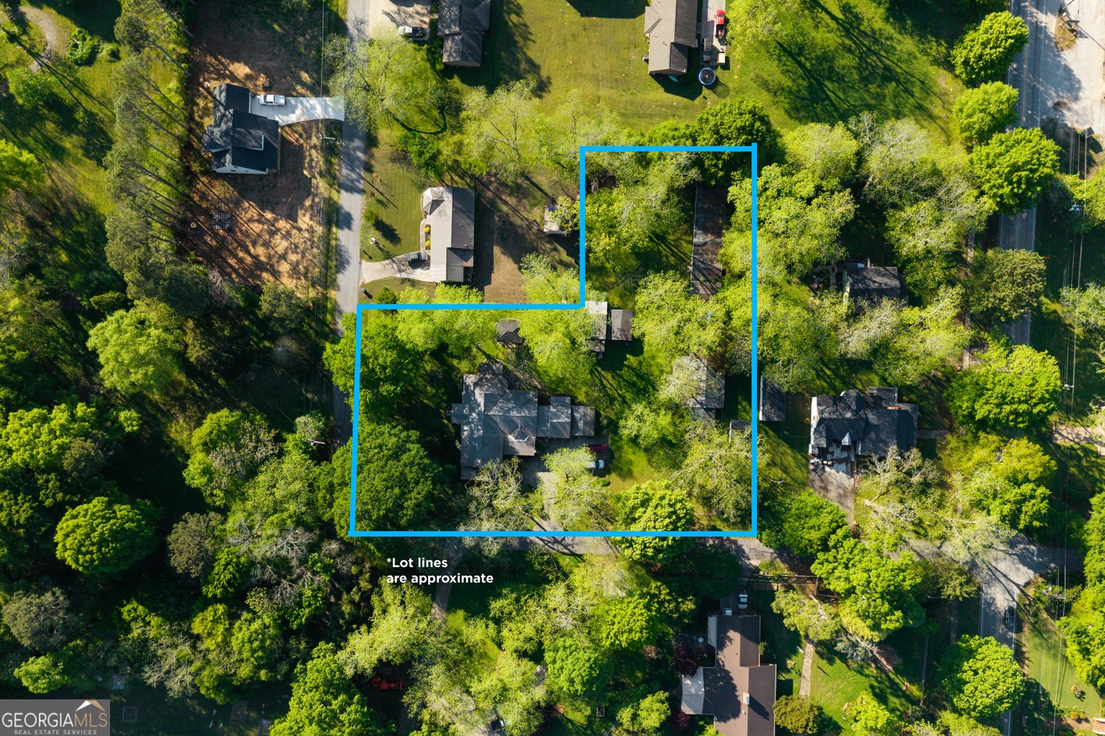 116 Fulton Street Newborn - Photo 56