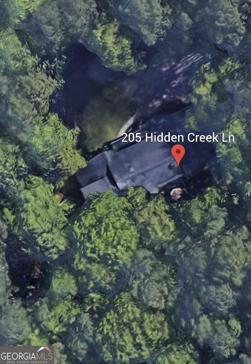 205 Hidden Creek Lane Peachtree City - Photo 30