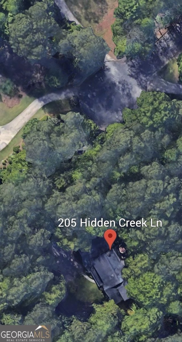 205 Hidden Creek Lane Peachtree City - Photo 31