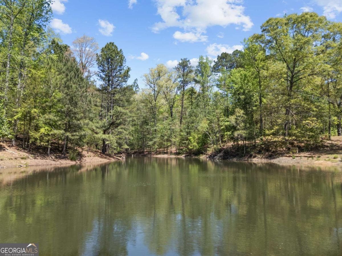 761 Fincherville Road Jackson - Photo 48