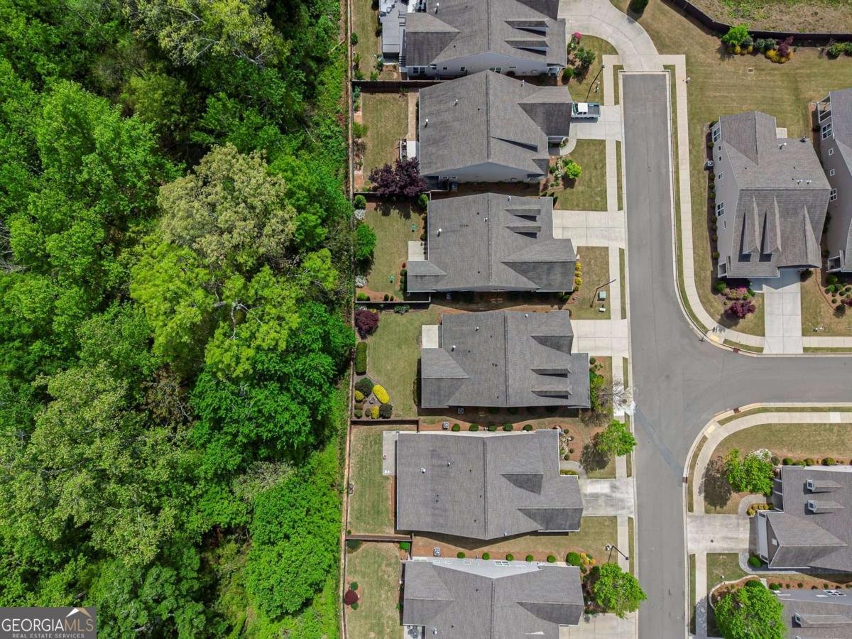 139 Wood Hollow Drive Woodstock - Photo 46