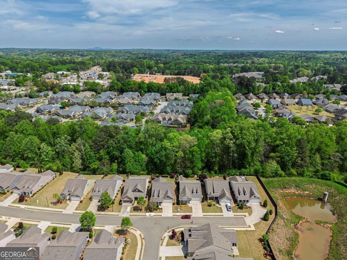 139 Wood Hollow Drive Woodstock - Photo 49