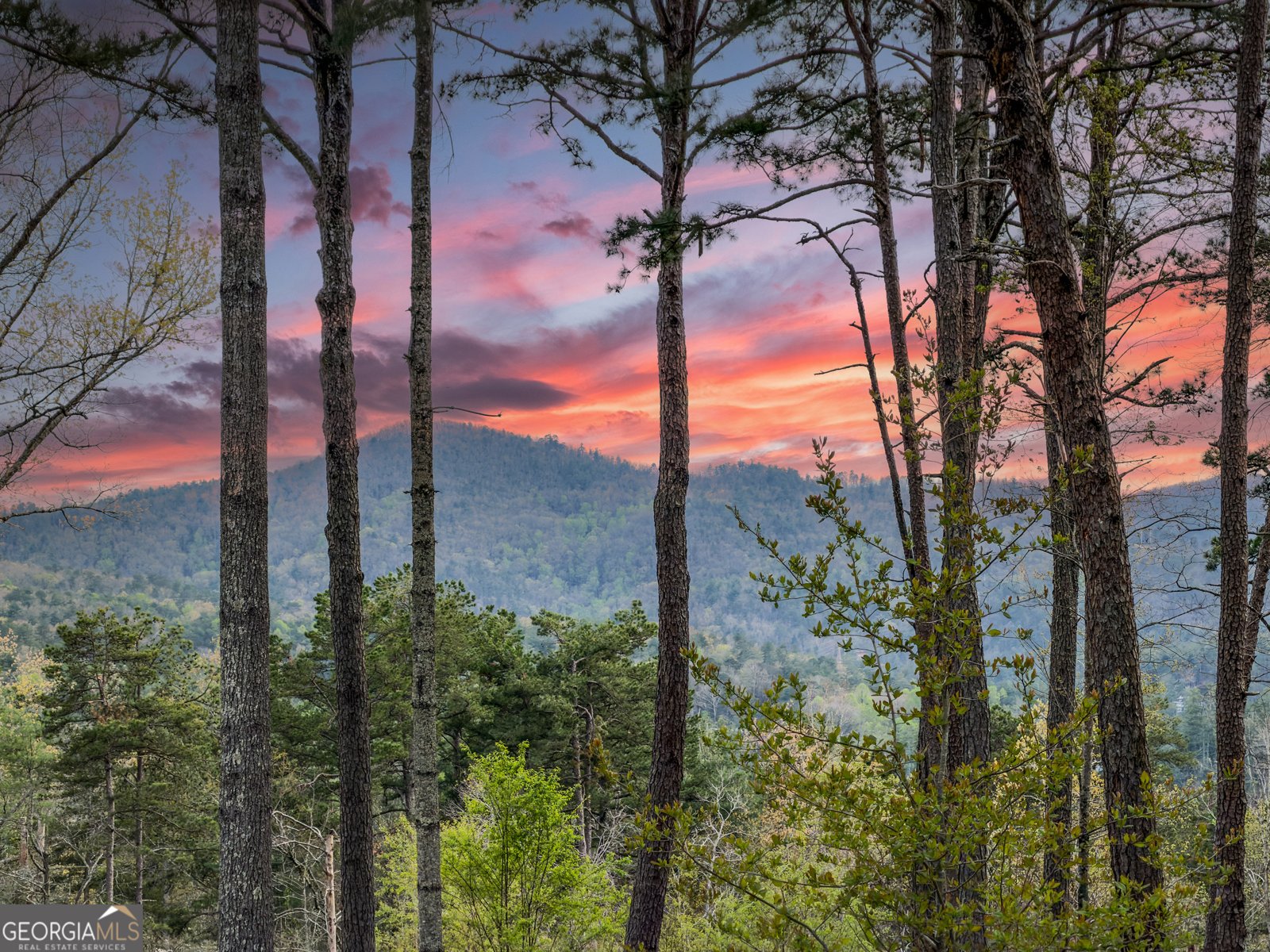 133 Oasis Ridge Road Lakemont - Photo 75