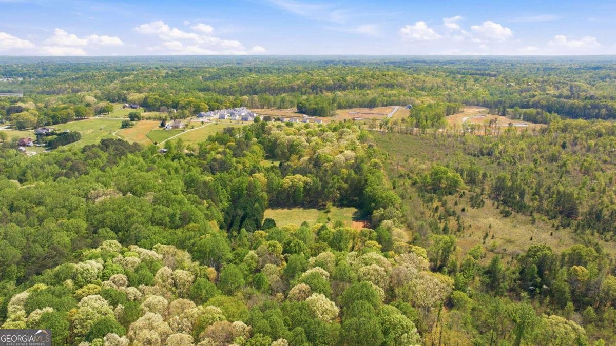 4829 Old Pendergrass Rd Road Jefferson - Photo 100