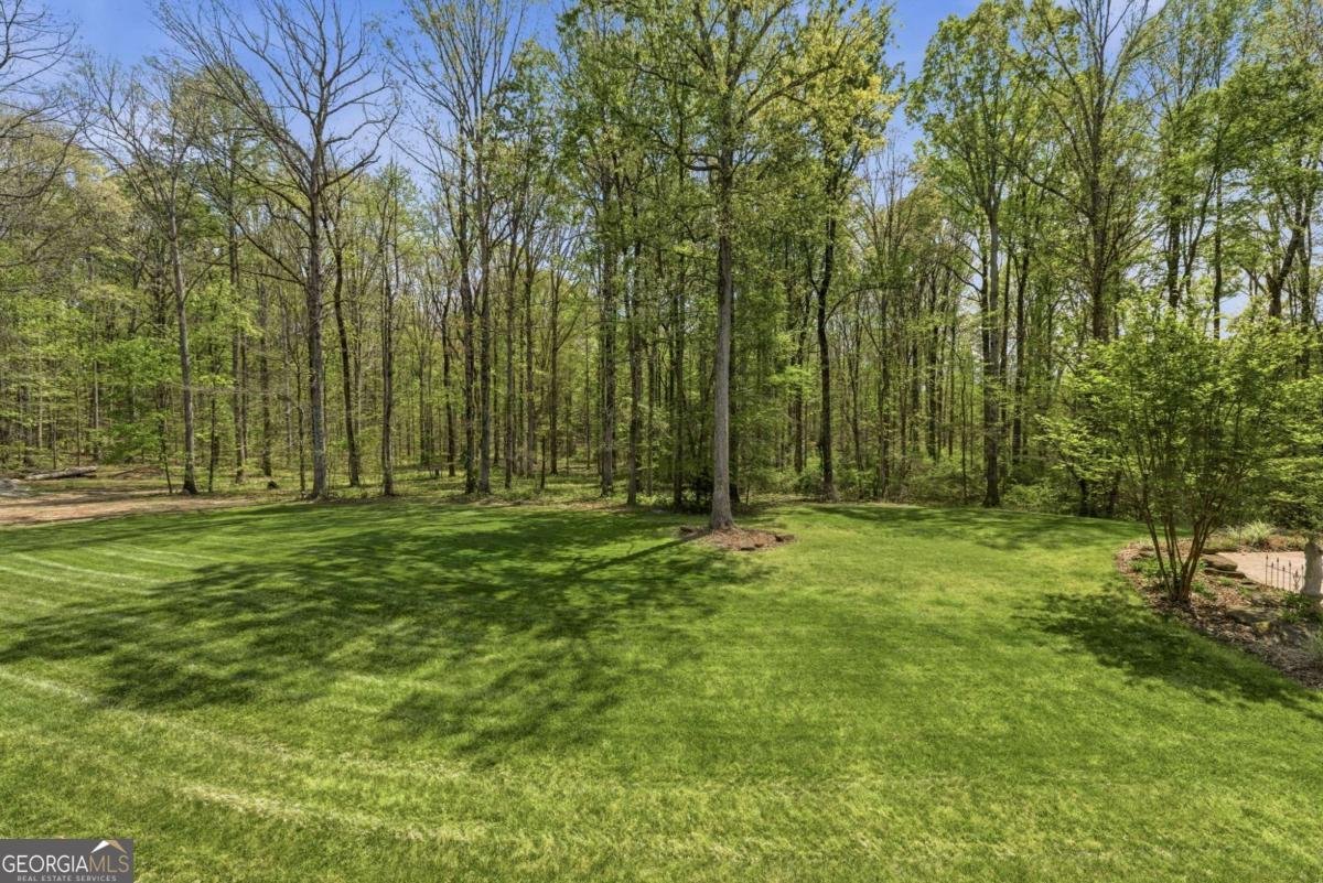 4829 Old Pendergrass Rd Road Jefferson - Photo 53