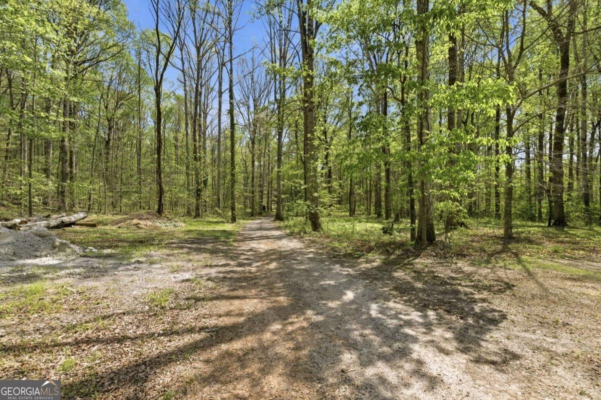 4829 Old Pendergrass Rd Road Jefferson - Photo 65