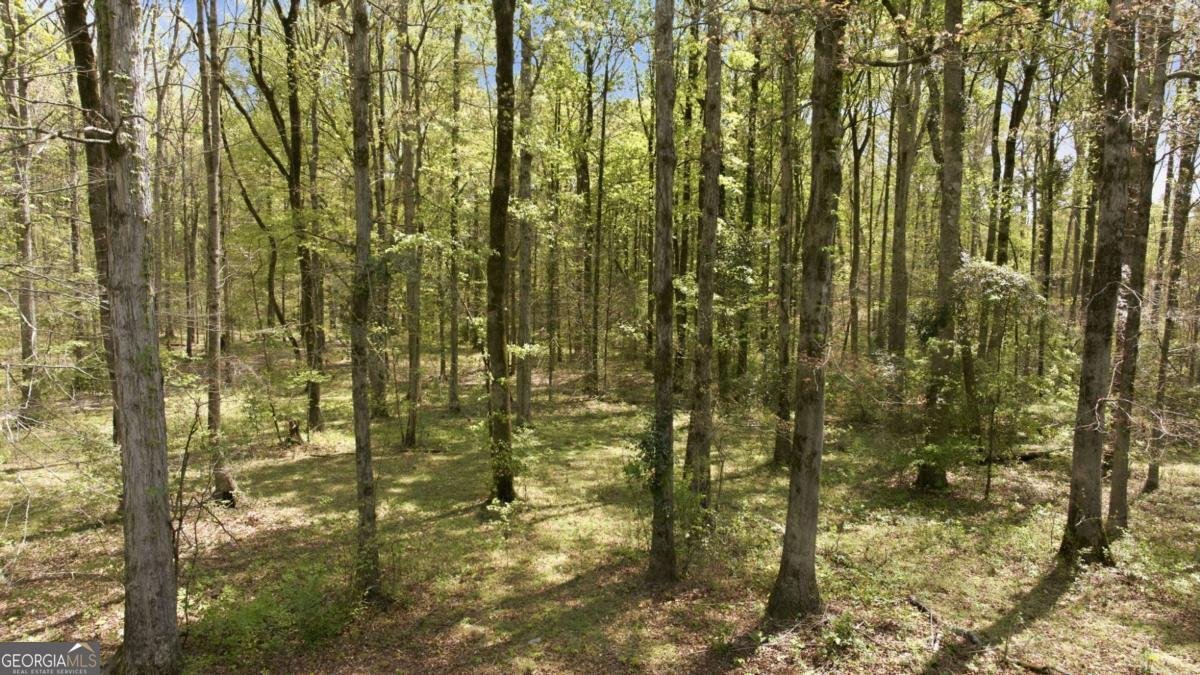 4829 Old Pendergrass Rd Road Jefferson - Photo 69