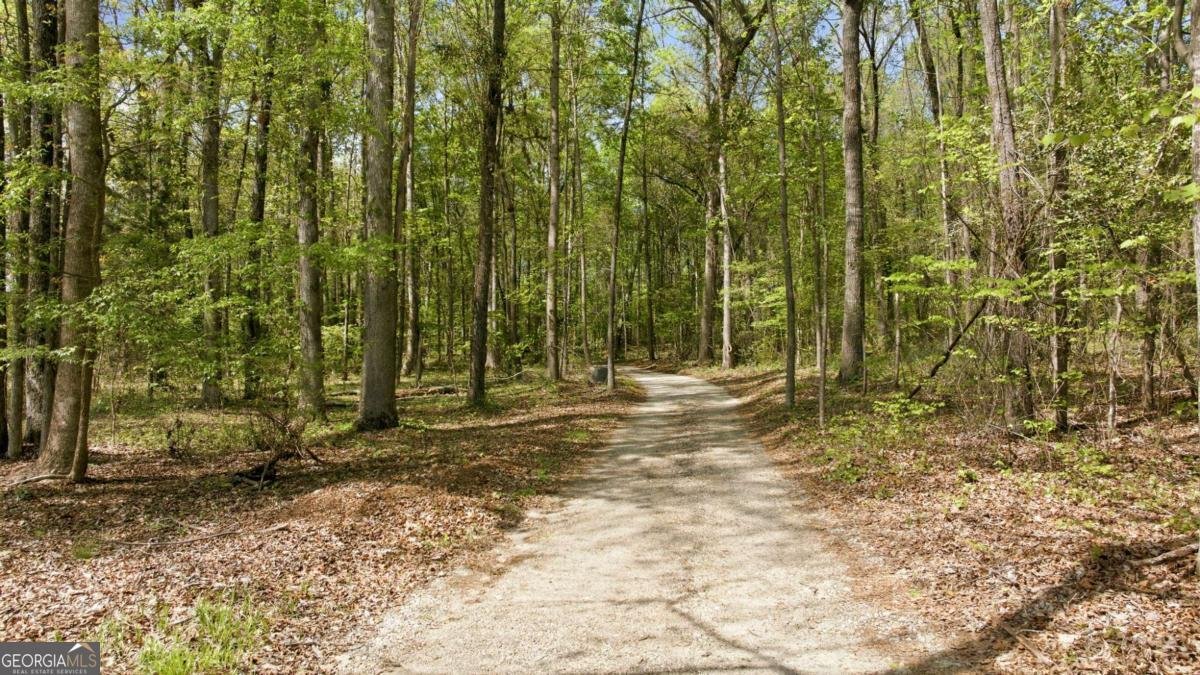 4829 Old Pendergrass Rd Road Jefferson - Photo 70