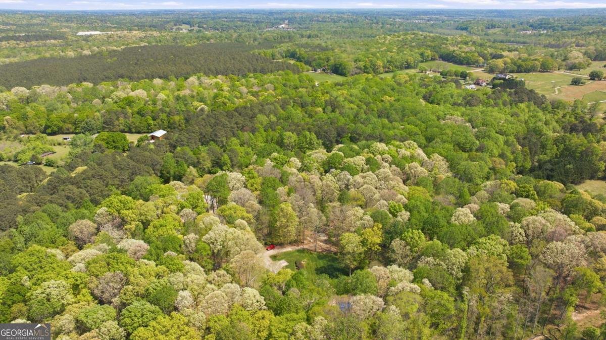 4829 Old Pendergrass Rd Road Jefferson - Photo 80