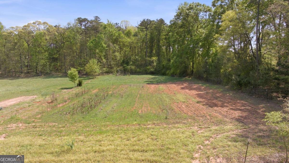 4829 Old Pendergrass Rd Road Jefferson - Photo 87