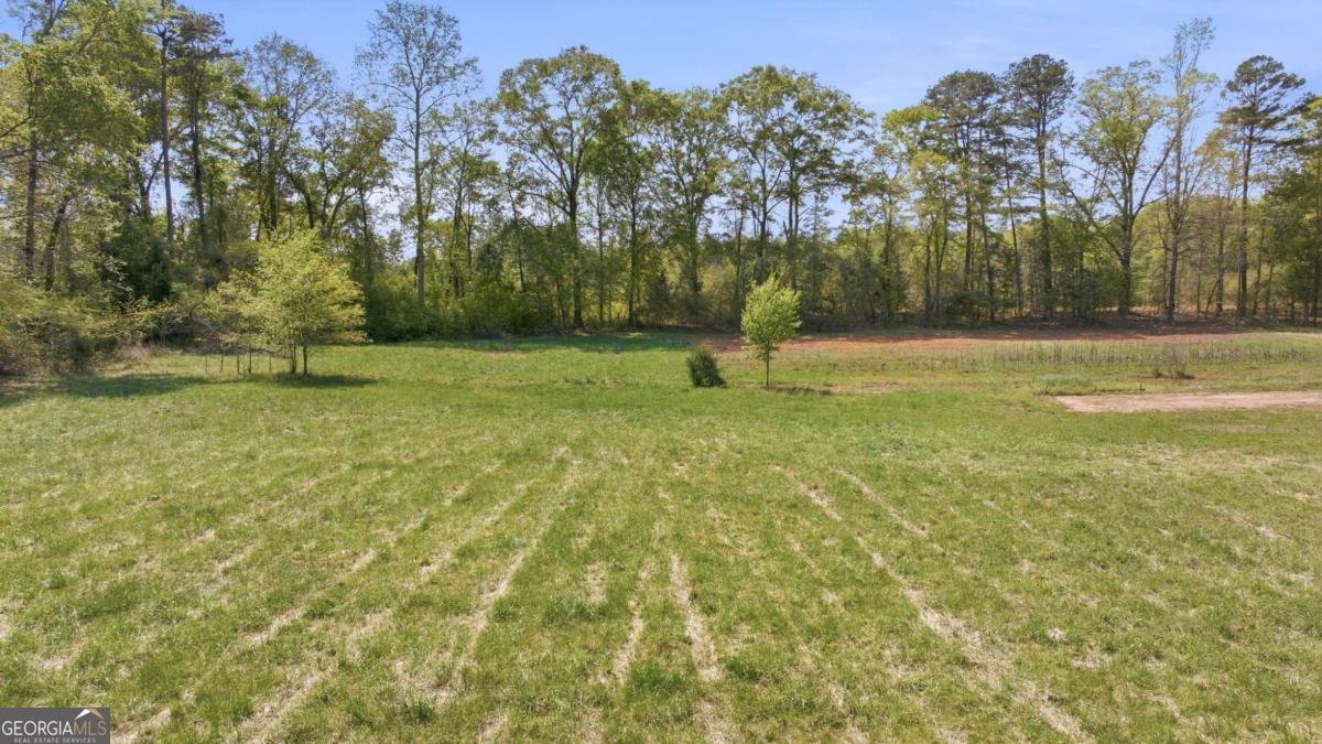 4829 Old Pendergrass Rd Road Jefferson - Photo 90