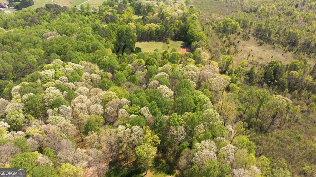 4829 Old Pendergrass Rd Road Jefferson - Photo 98