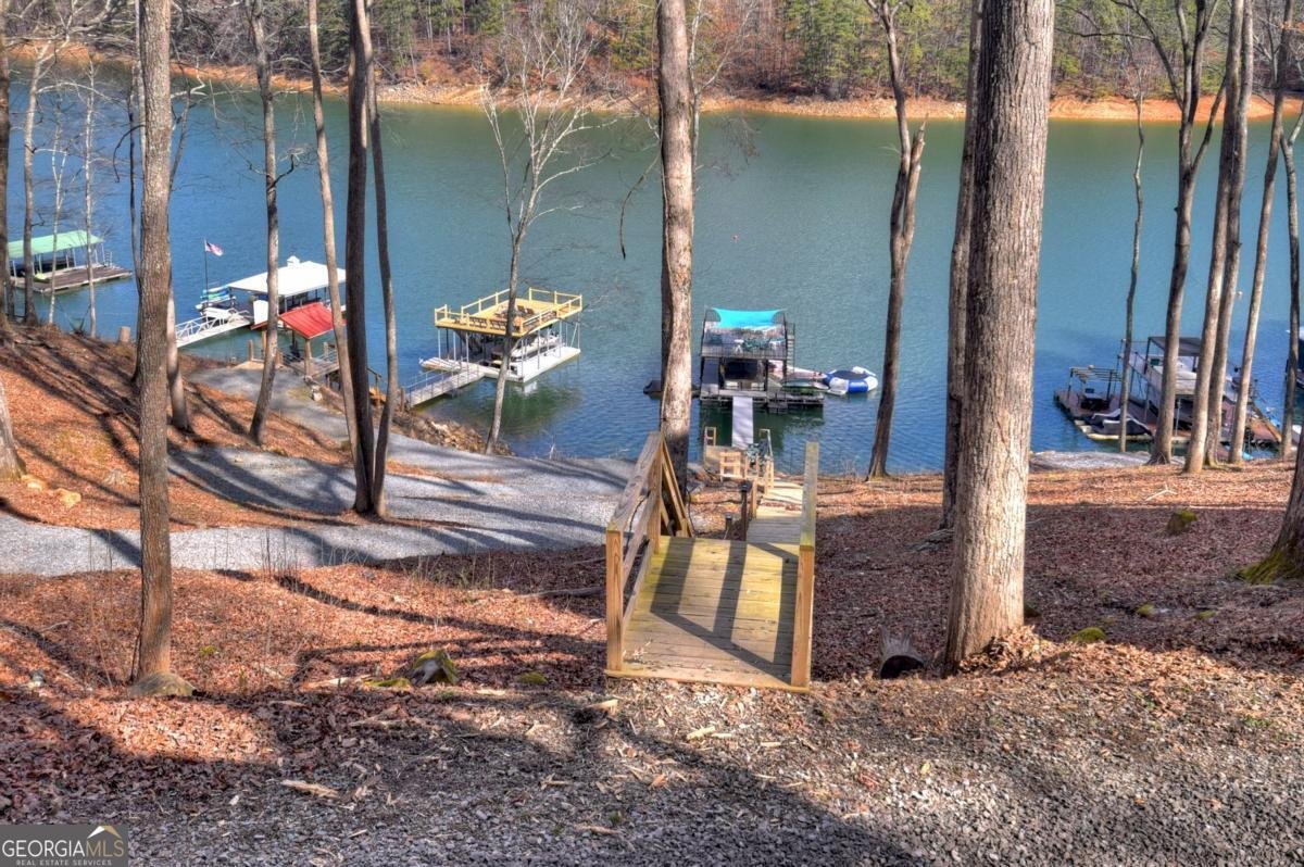 59 Chiefs Lane Blue Ridge - Photo 26