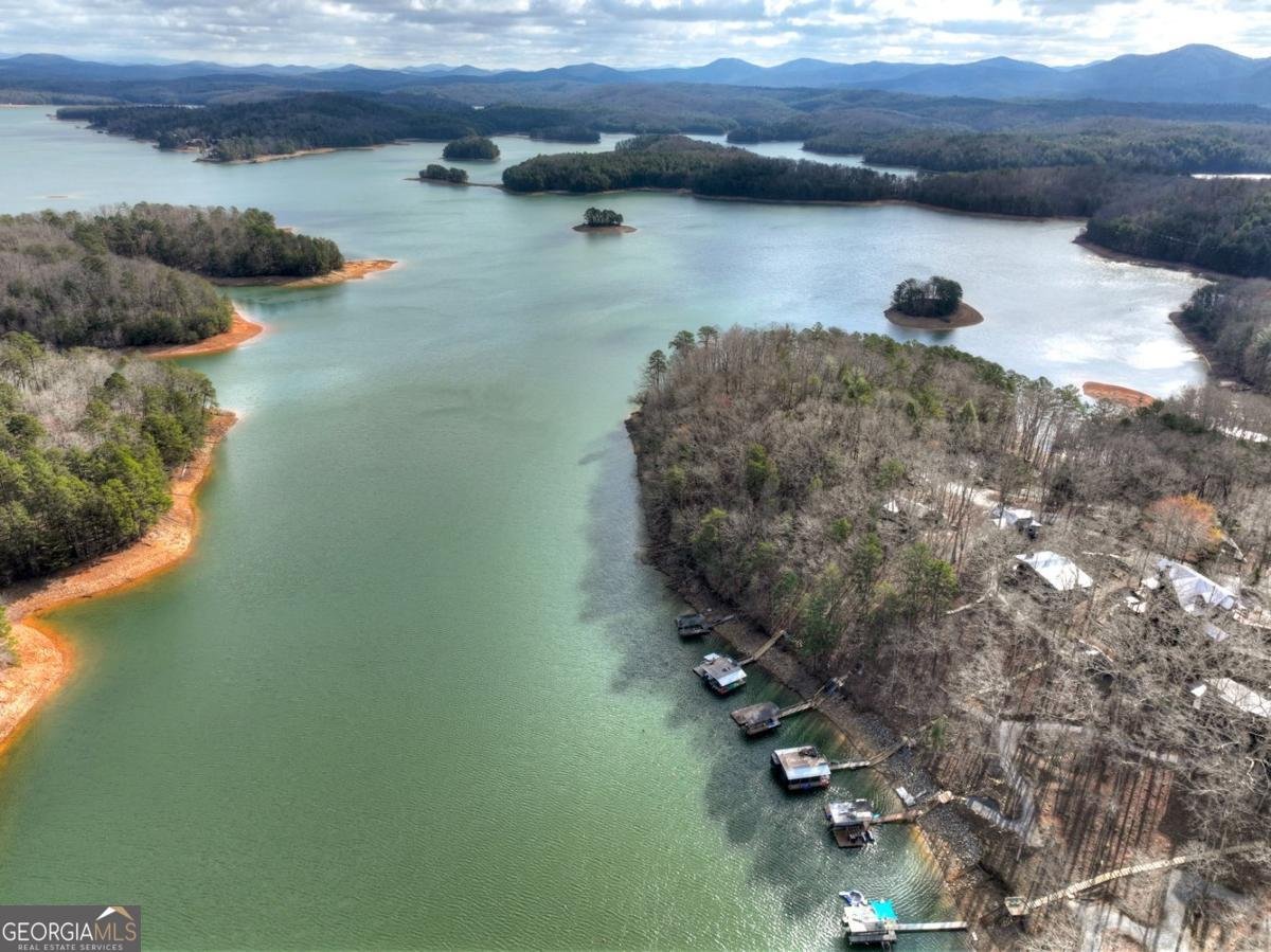 59 Chiefs Lane Blue Ridge - Photo 38