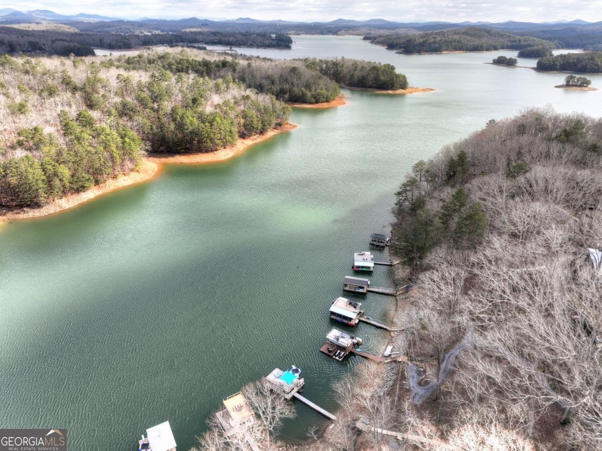 59 Chiefs Lane Blue Ridge - Photo 47